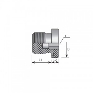 Inner hexagon plug packing ring form E DIN 3852. (ATMG..ELX)