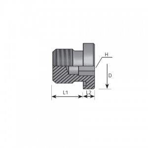 Inner hexagon plug packing ring form E DIN 3852. (ATMM..ELX)