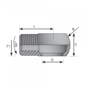 Vitillo Bsp Adapteri BSP (collīgie) banjo adapteri ar BSP (collīgo) ārējo vītni. (AOFG)