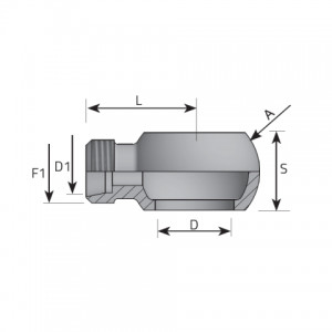 Vitillo Bsp Adapteri BSP (collīgie) banjo adapteri DIN 24° ārējo vītni. (AOG..L)