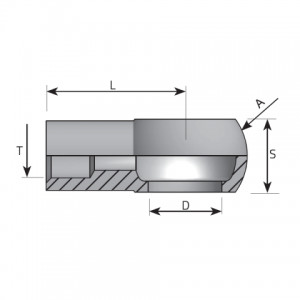 Vitillo Bsp Adapteri Metināmi BSP (collīgie) banjo adapteri. (AOSG)