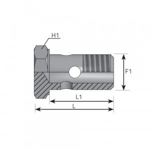 Vitillo Bsp Adaptery Болт — дюймовый. (ABFG)