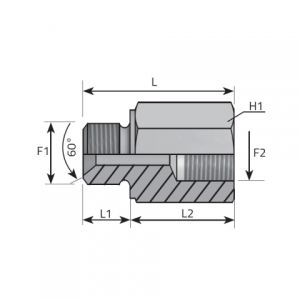 Vitillo Bsp Adaptery Удлинитель AG дюймовый / IG дюймовый. (APMFG)