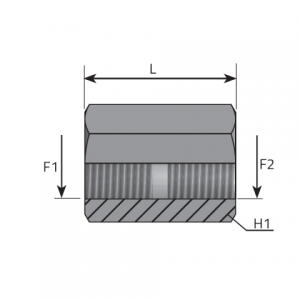 Vitillo Bsp Fittings Adapter female BSPP – female BSPP. (APFFG)