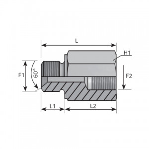 Vitillo Bsp Fittings Adapter male BSPP – female BSPP. (APMFG)