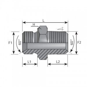 Vitillo Bsp Fittings Adaptor male BSPP – male BSPT. (ANGK)