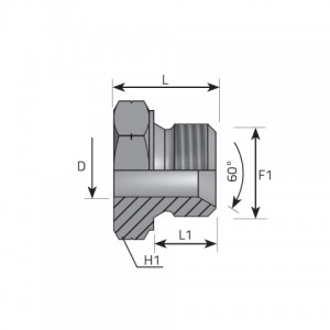 Vitillo Bsp Fittings Metric welding adaptor BSPP. (AMNSM)