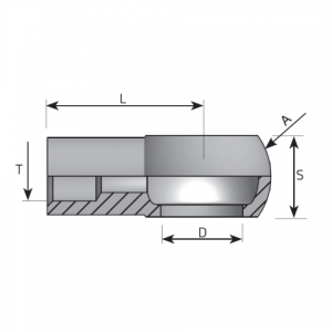 Vitillo Bsp Fittings Metric welding Banjo. (AOSM)