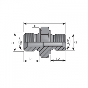 Vitillo Bsp Fittings Reducing Adapter male BSPP – male BSPP. (ARGG)