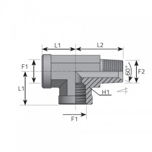 Vitillo Bsp Fittings Tee Adapter fixed female BSPP – fixed female BSPP – male BSPT. (TFFG..MGK..B)