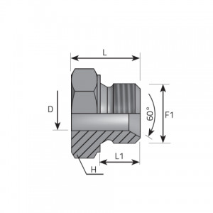 Vitillo Bsp Fittings Welding adaptor BSPP. (AMNS)