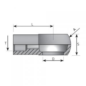 Vitillo Bsp Fittings Welding banjo BSPP. (AOSG)