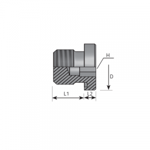 Vitillo Din Fittings Inner hexagon plug packing ring form E DIN 3852. (ATMM..ELX)