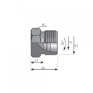 Vitillo Din Fittings Pipe plug DIN 24°. (ATME..LS)