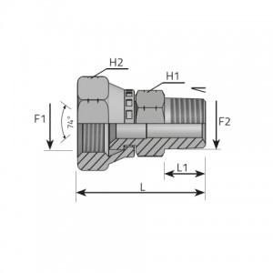 Vitillo Jic Adaptery Адаптер IG-JIC вращающаяся / AG-NPT. (AFGJ..MN)