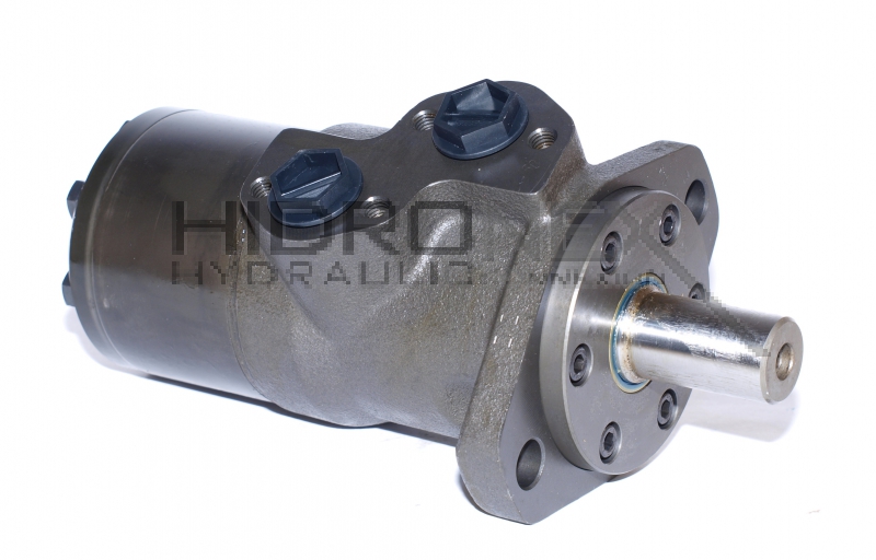 Hidromotors 100.00CCM - MR100C